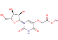 Uridine-5-oxo-acetyl-(9-fluorenylmethyl)   ester – Figure 1 of 1