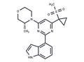 AZ20 – Figure 1 of 1