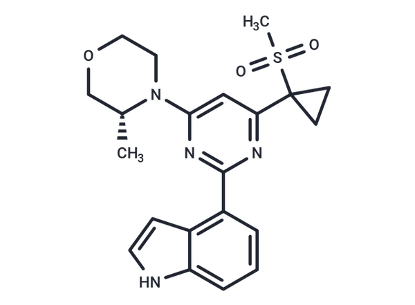 AZ20 – Figure 1 of 1
