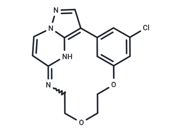 OD36 – Figure 1 of 1