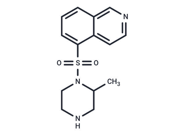 Protein kinase inhibitor H-7 – Figure 1 of 1