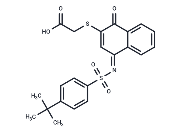KPT-6566 – Figure 1 of 1