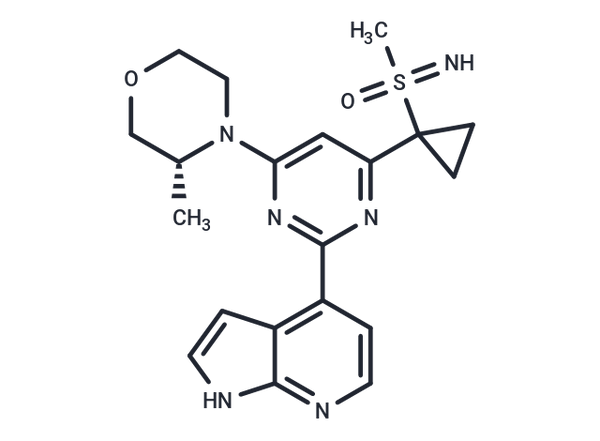 Ceralasertib – Figure 1 of 1