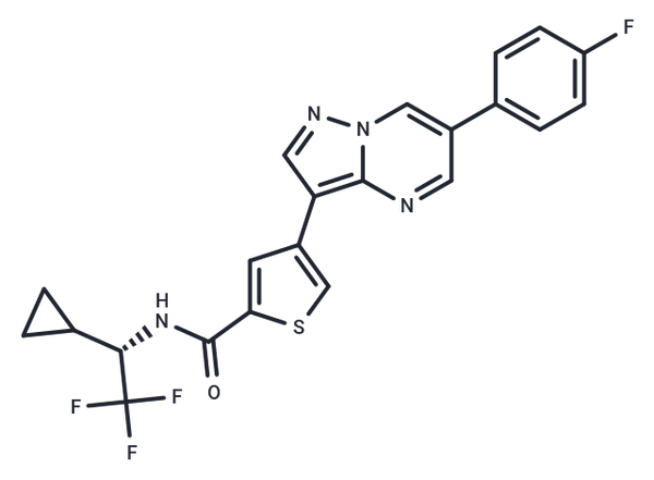 ULK-101 – Figure 1 of 1