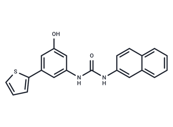 FzM1 – Figure 1 of 1