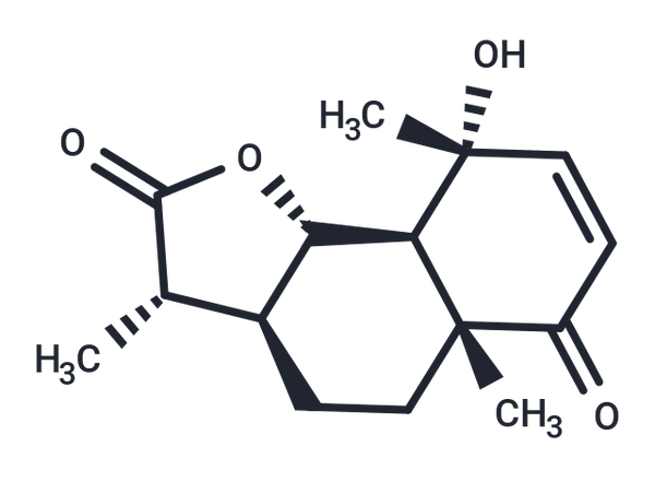 Vulgarin – Figure 1 of 1