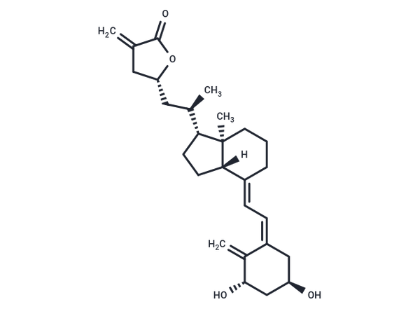 TEI-9648 – Figure 1 of 1