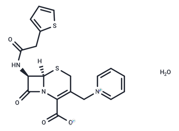 Cephaloridine hydrate – Figure 1 of 1