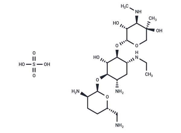 Etimicin sulfate – Figure 1 of 1