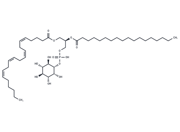 1-Stearoyl-2-arachidonoyl-sn-glycero-3-phosphoinositol – Figure 1 of 1