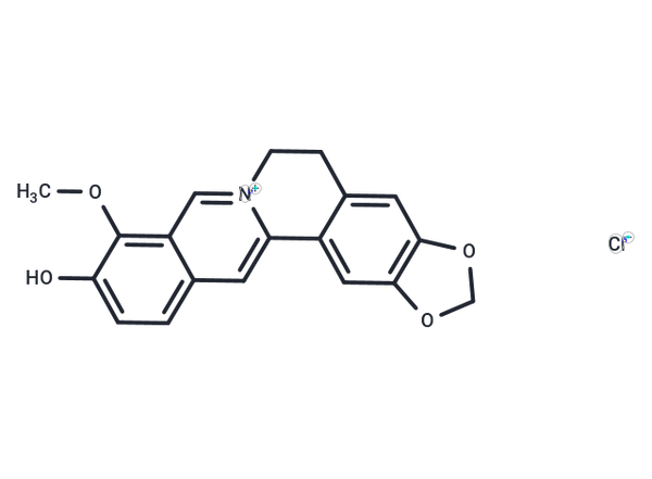 Thalifendine chloride – Figure 1 of 1