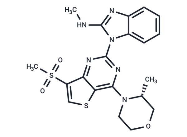 ATR-IN-23 – Figure 1 of 1