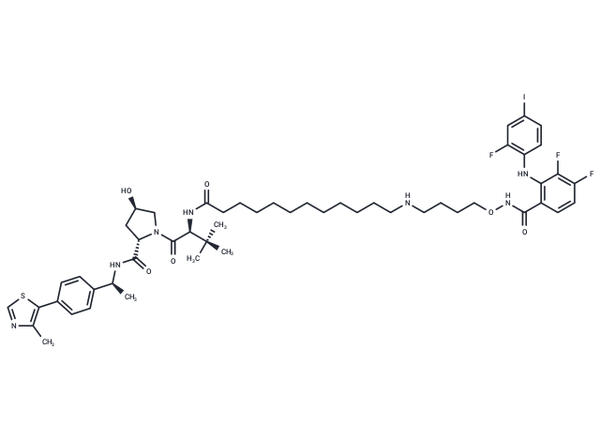 MS934 – Figure 1 of 1