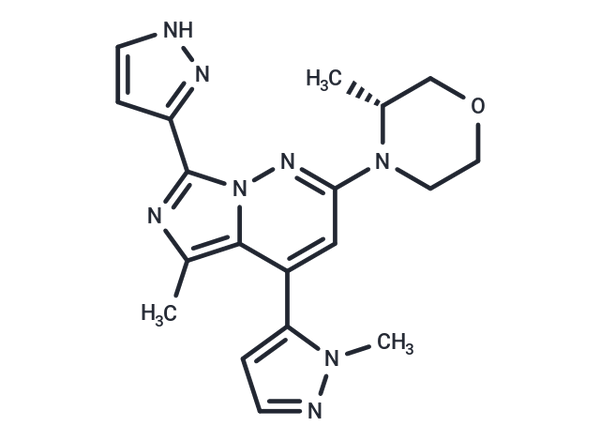 ATR-IN-29 – Figure 1 of 1