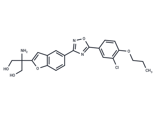 AKP-11 – Figure 1 of 1