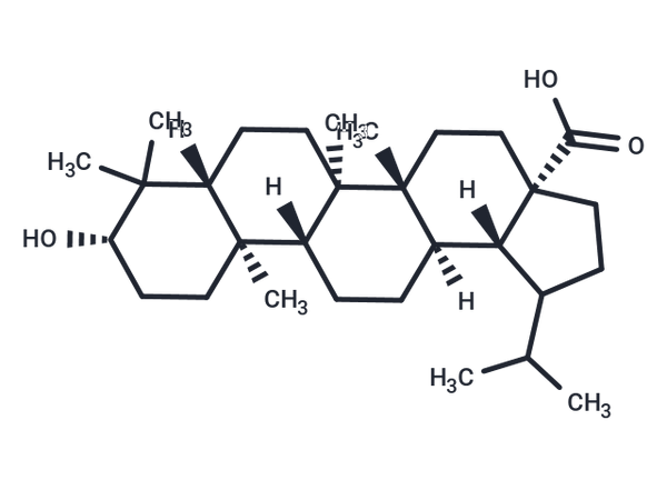 Dihydrobetulinic acid – Figure 1 of 1