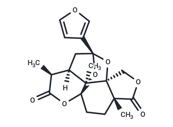 Saudin – Figure 1 of 1