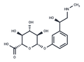 Phenylephrine Glucuronide – Figure 1 of 1