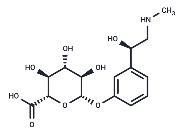 Phenylephrine Glucuronide – Figure 1 of 1