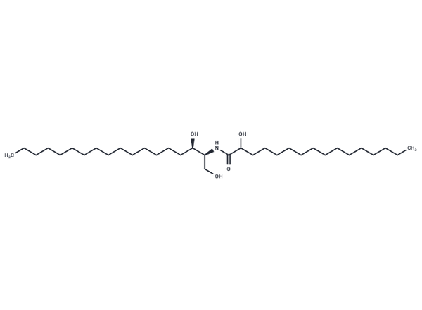 C16((±)-2'-hydroxy) dihydro Ceramide (d18:0/16:0) – Figure 1 of 1
