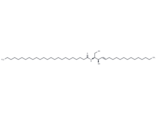 C24-Ceramide – Figure 1 of 1