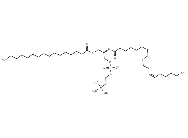 1-Palmitoyl-2-Linoleoyl-sn-glycero-3-PC – Figure 1 of 1