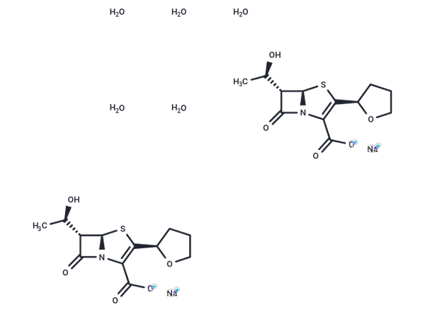 Faropenem sodium hydrate – Figure 1 of 1