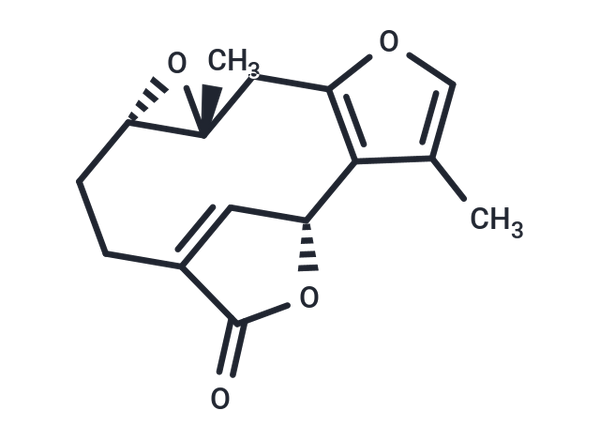 Pseudoneolinderane – Figure 1 of 1
