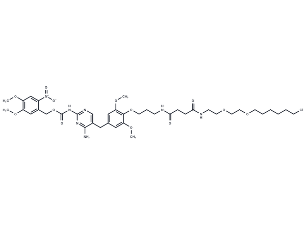 NVOC cage-TMP-Halo – Figure 1 of 1