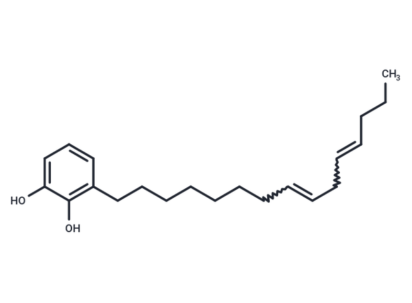 3-(8,11-Pentadecadienyl)-1,2-benzenediol – Figure 1 of 1