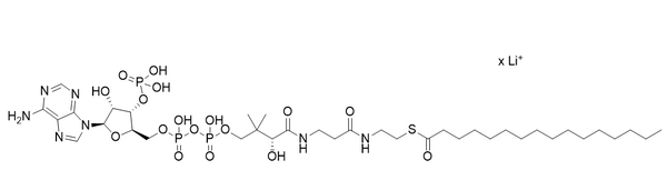 Palmitoyl CoA lithium – Figure 1 of 1