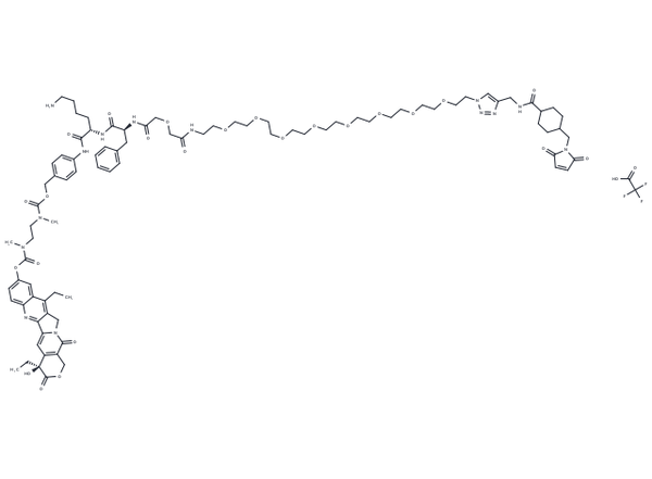 CL2E-SN38 TFA – Figure 1 of 1