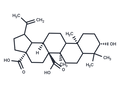 Melaleucic aicd – Figure 1 of 1
