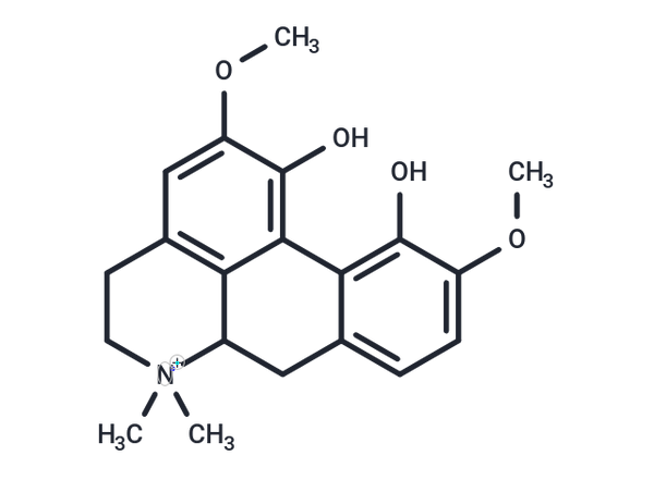 Magnoflorine (Thalictrine; Esholine) – Figure 1 of 1