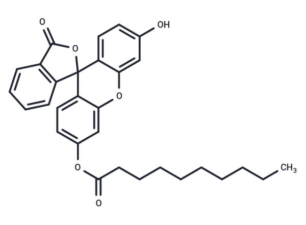 Decanoyl fluorescein – Figure 1 of 1