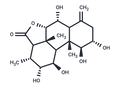 Longilactone, delta-4(18)-Isomer, 2alpha-alcoho – Figure 1 of 1