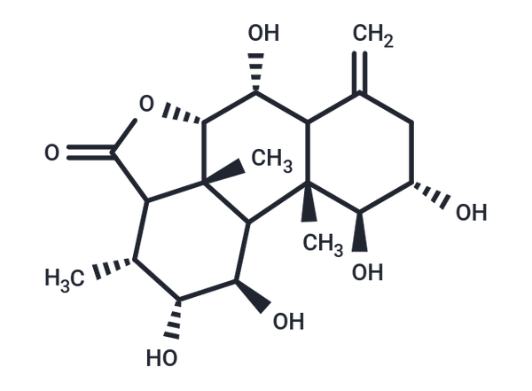 Longilactone, delta-4(18)-Isomer, 2alpha-alcoho – Figure 1 of 1