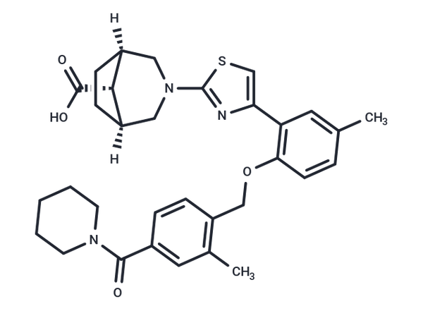 BI 703704 – Figure 1 of 1