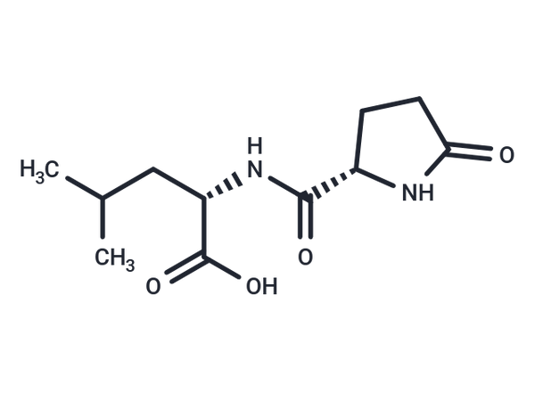 Pyroglutamylleucine – Figure 1 of 1