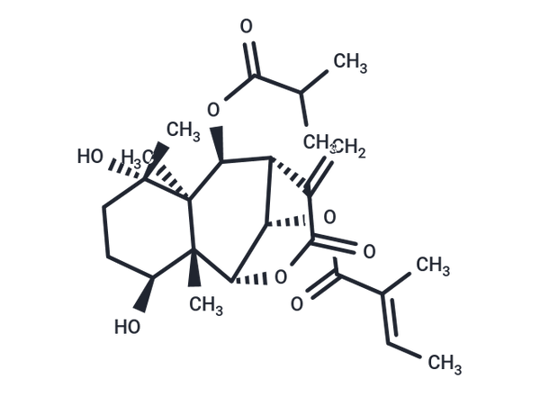 Wedelolide A – Figure 1 of 1