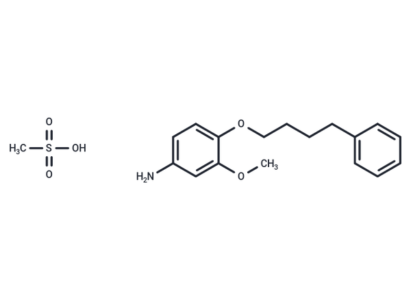 m-Anisidine, 4-(4-phenylbutoxy)-, methanesulfonate – Figure 1 of 1