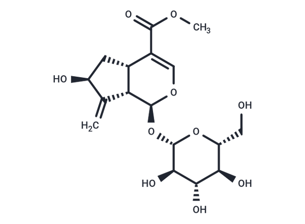 Gardoside methyl ester – Figure 1 of 1