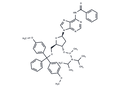 5'-DMTr-dA(Bz)-Methyl   phosphonamidite – Figure 1 of 1
