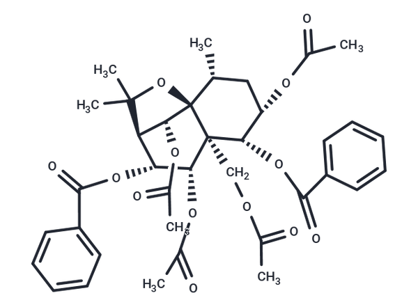 Eur 2 – Figure 1 of 1