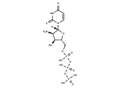 MRS2698 – Figure 1 of 1