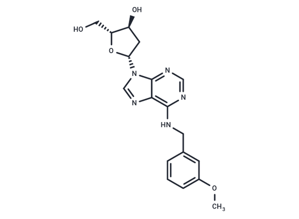 2'-Deoxy-N6-(3-methoxybenzyl)adenosine – Figure 1 of 1