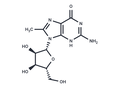 8-Methylguanosine – Figure 1 of 1