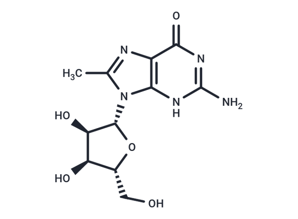 8-Methylguanosine – Figure 1 of 1