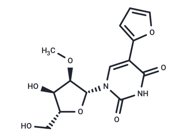 5-Furan-2-yl-2'-O-methyl uridine – Figure 1 of 1