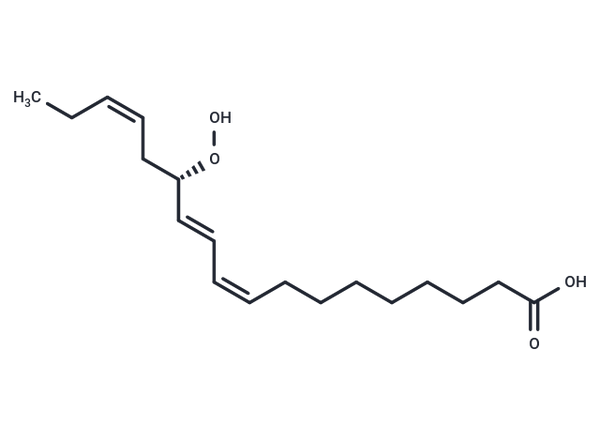 13(S)-HpOTrE – Figure 1 of 1